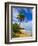 Tres Palmitas Beach, Puerto Rico, West Indies, Caribbean, Central America-Michael DeFreitas-Framed Photographic Print
