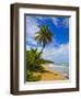 Tres Palmitas Beach, Puerto Rico, West Indies, Caribbean, Central America-Michael DeFreitas-Framed Photographic Print