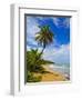 Tres Palmitas Beach, Puerto Rico, West Indies, Caribbean, Central America-Michael DeFreitas-Framed Photographic Print