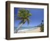 Tres Palmitas Beach-Franz-Marc Frei-Framed Photographic Print