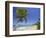 Tres Palmitas Beach-Franz-Marc Frei-Framed Photographic Print