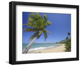 Tres Palmitas Beach-Franz-Marc Frei-Framed Photographic Print