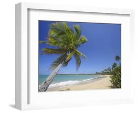 Tres Palmitas Beach-Franz-Marc Frei-Framed Photographic Print