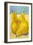 Tres Pears-Tim O'toole-Framed Art Print