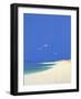 Tresco, Summer, 2001-John Miller-Framed Giclee Print