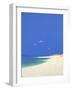 Tresco, Summer, 2001-John Miller-Framed Giclee Print