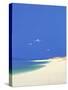 Tresco, Summer, 2001-John Miller-Stretched Canvas