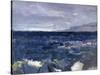 Treshnish Point from Iona-Francis Campbell Cadell-Stretched Canvas
