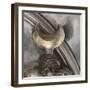 Trésor de Boscoreale : coupe-null-Framed Giclee Print