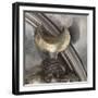 Trésor de Boscoreale : coupe-null-Framed Giclee Print