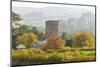 Tretower Castle, Powys, Wales, United Kingdom, Europe-Billy Stock-Mounted Photographic Print