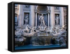 Trevi Fountain, Created by Nicola Salvi, Rome, Italy-Martin Moos-Framed Stretched Canvas