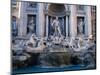 Trevi Fountain, Created by Nicola Salvi, Rome, Italy-Martin Moos-Mounted Photographic Print