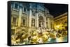 Trevi Fountain - Famous Landmark in Rome-bloodua-Framed Stretched Canvas