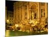 Trevi Fountain Illuminated at Night in Rome, Lazio, Italy, Europe-Nigel Francis-Mounted Photographic Print