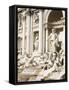 Trevi Fountain, Rome, Lazio, Italy, Europe-Richard Cummins-Framed Stretched Canvas