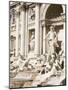 Trevi Fountain, Rome, Lazio, Italy, Europe-Richard Cummins-Mounted Photographic Print