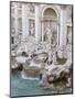 Trevi Fountain, Rome, Lazio, Italy, Europe-Marco Cristofori-Mounted Photographic Print