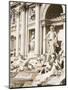 Trevi Fountain, Rome, Lazio, Italy, Europe-Richard Cummins-Mounted Photographic Print