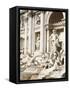 Trevi Fountain, Rome, Lazio, Italy, Europe-Richard Cummins-Framed Stretched Canvas