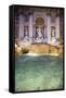 Trevi Fountain-Stefano Amantini-Framed Stretched Canvas