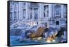 Trevi Fountain-Stefano Amantini-Framed Stretched Canvas