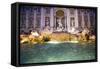 Trevi Fountain-Stefano Amantini-Framed Stretched Canvas