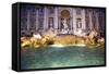 Trevi Fountain-Stefano Amantini-Framed Stretched Canvas