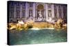 Trevi Fountain-Stefano Amantini-Stretched Canvas