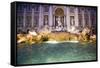 Trevi Fountain-Stefano Amantini-Framed Stretched Canvas