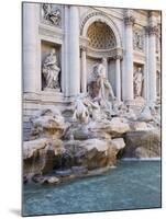 Trevi Fountain-Stefano Amantini-Mounted Photographic Print