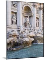 Trevi Fountain-Stefano Amantini-Mounted Photographic Print