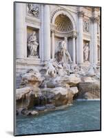 Trevi Fountain-Stefano Amantini-Mounted Photographic Print