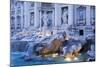 Trevi Fountain-Stefano Amantini-Mounted Photographic Print