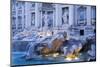 Trevi Fountain-Stefano Amantini-Mounted Photographic Print