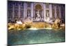 Trevi Fountain-Stefano Amantini-Mounted Photographic Print