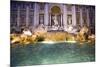 Trevi Fountain-Stefano Amantini-Mounted Photographic Print