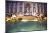 Trevi Fountain-Stefano Amantini-Mounted Photographic Print