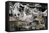 Trevi Fountain-null-Framed Stretched Canvas