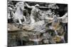 Trevi Fountain-null-Mounted Giclee Print