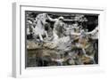 White Frame