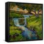 Canvas Black