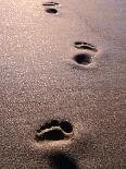 Footprints in the Sand of Eco Beach, South of Broome, Broome, Australia-Trevor Creighton-Framed Stretched Canvas