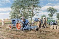 Lifting the Crop-Trevor Mitchell-Giclee Print