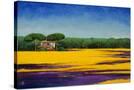 Stretched Canvas