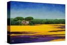 Stretched Canvas