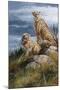 Wood Mount