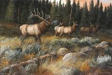 Autumn and on the Move-Trevor V. Swanson-Giclee Print