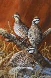 High Country Trio-Trevor V. Swanson-Giclee Print