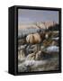 Canvas Black